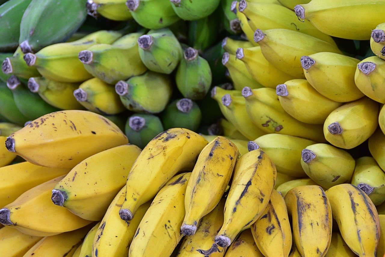 Evaluating the Impact of Market Accessibility on Adoption